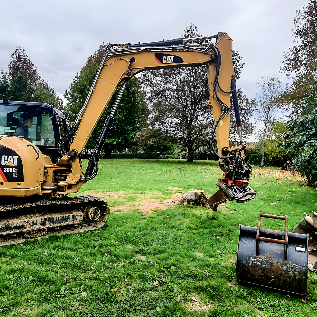 La Brigade Des Arbres Elagage Peyrehorade Rognage Et Dessouchage 2